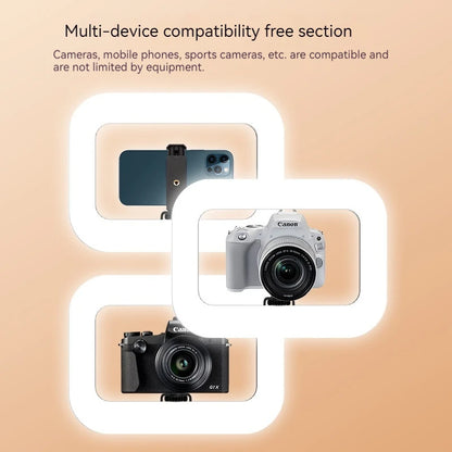 Handheld Ring LED Fill Light – 20W, 240 Beads, 8000mAh, 2500K–8500K for Live Streaming & Photography