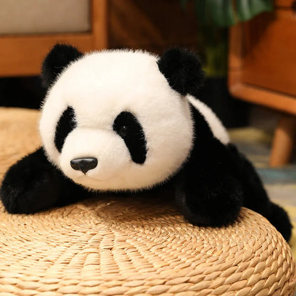 Soft Animal Plush Stuffed Toy – Panda, Bear, Fox & Raccoon Pillow Cushion | 30cm, 45cm, 65cm | Gift for Girls